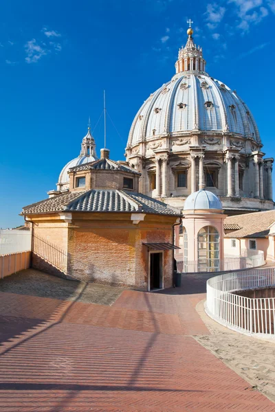 stock image Roof of St. Peter's Basilica, Vatican