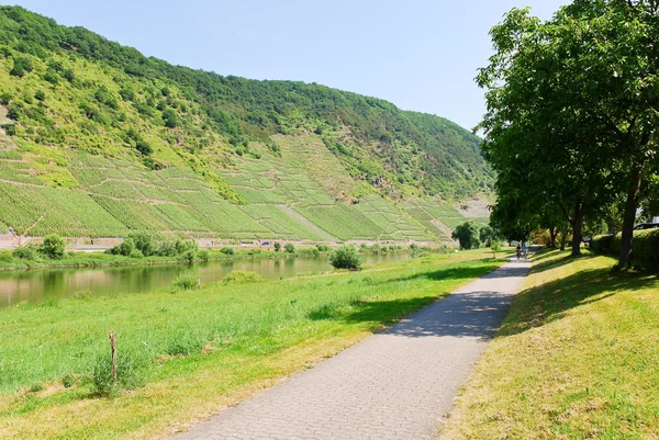 Promenade along Moselle river — Stock Photo, Image