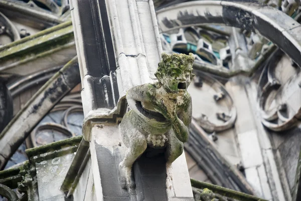 Parede de catedral gótica com gárgula — Fotografia de Stock