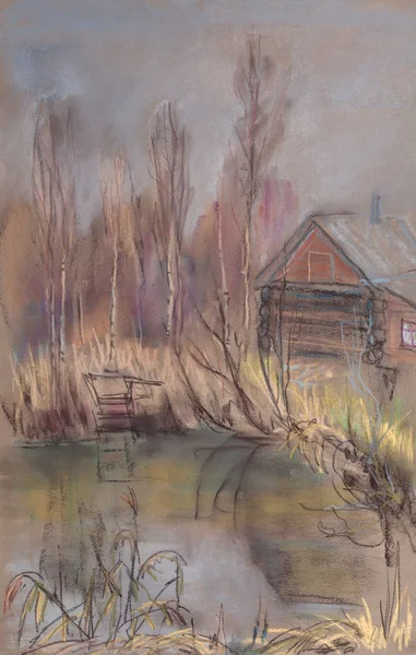 フォレスト内の池の岸の上の小さな家 — ストック写真