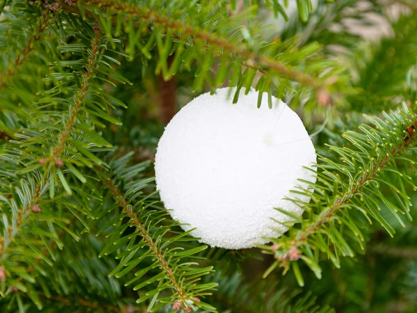 Balle en plastique blanc sur sapin de Noël — Photo
