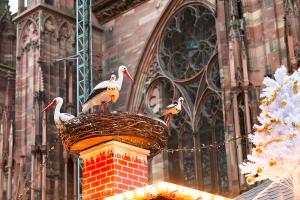 Stork boet nära cathedral — Stockfoto