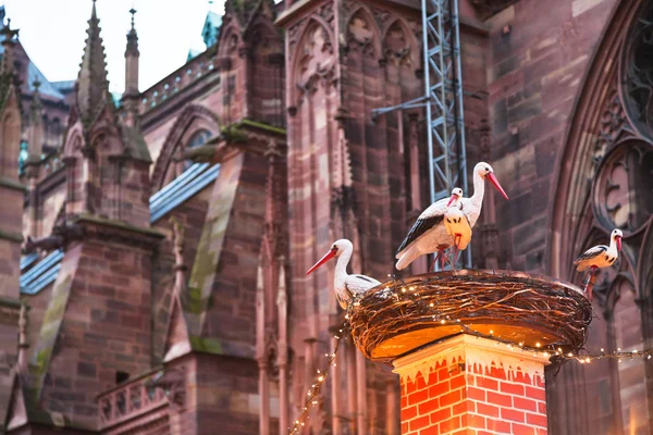Stork häckar nära katedralen i julklappa — Stockfoto