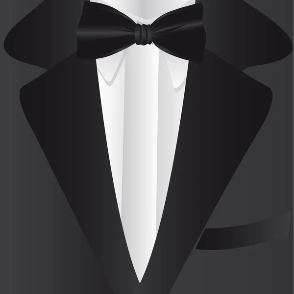 Formal suit and tie — Stock Vector