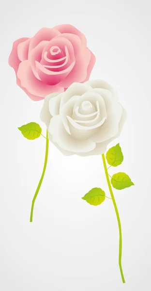 Illustration of roses — Stock Vector
