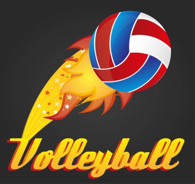 Voleybol Topu