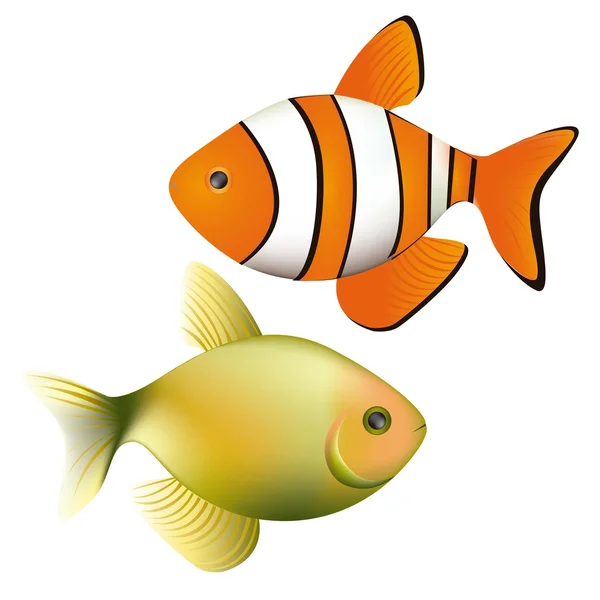 Illustration of fish — Stock Vector