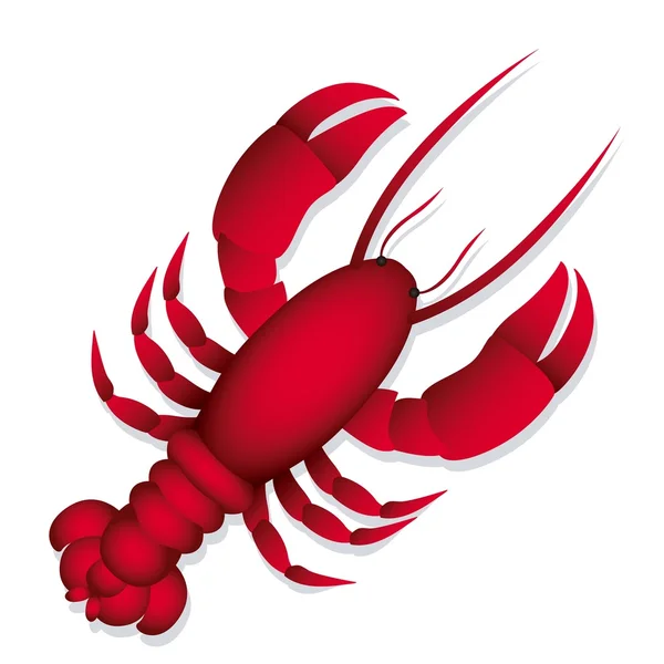 Illustration of lobster — Stock Vector