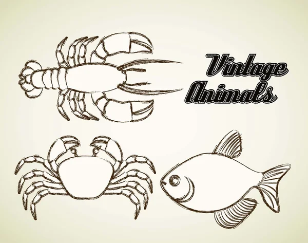 Animales marinos — Archivo Imágenes Vectoriales