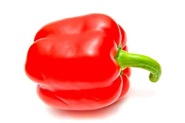 Enda röd paprika — Stockfoto