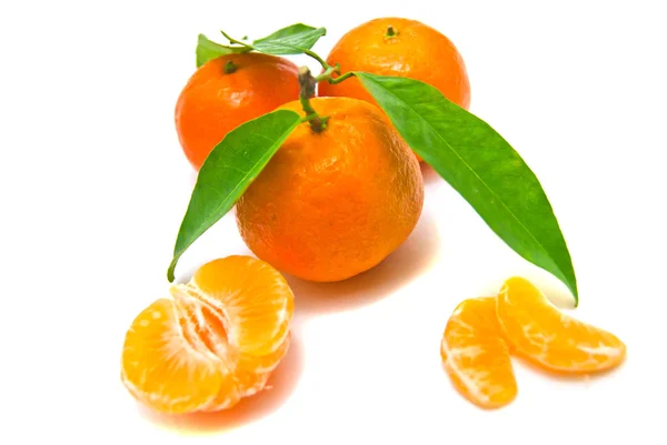 Mandarines on a branch on white — Stock Photo, Image