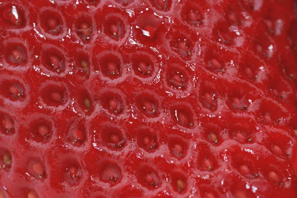 Erdbeer-Makro — Stockfoto