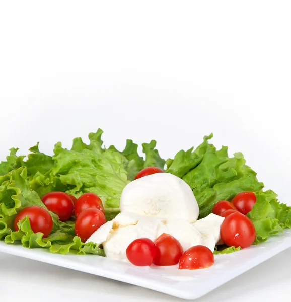 Mozzarella com tomates e salada — Fotografia de Stock