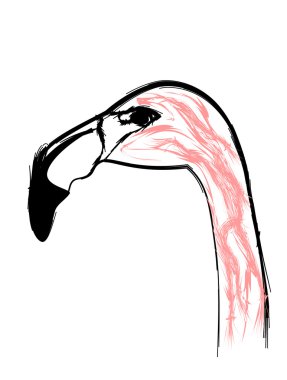 Flamingo bird stylized as pencil drawing clipart