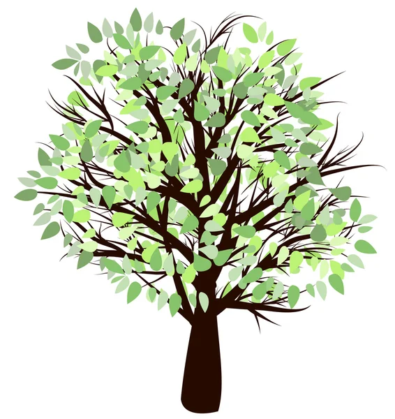 Baum mit grünem Blatt — Stockvektor