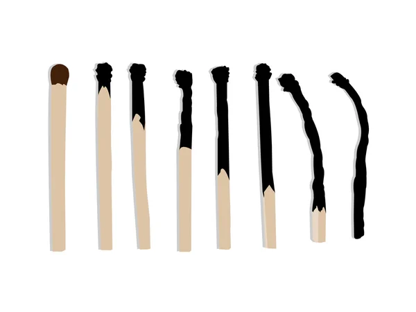 stock vector Burnt matches and a whole match