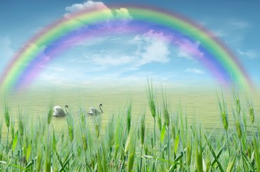 Kuğular ve rainbow ile göl