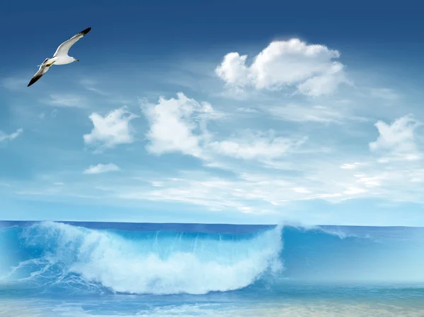 Surf-Paradies — Stockfoto