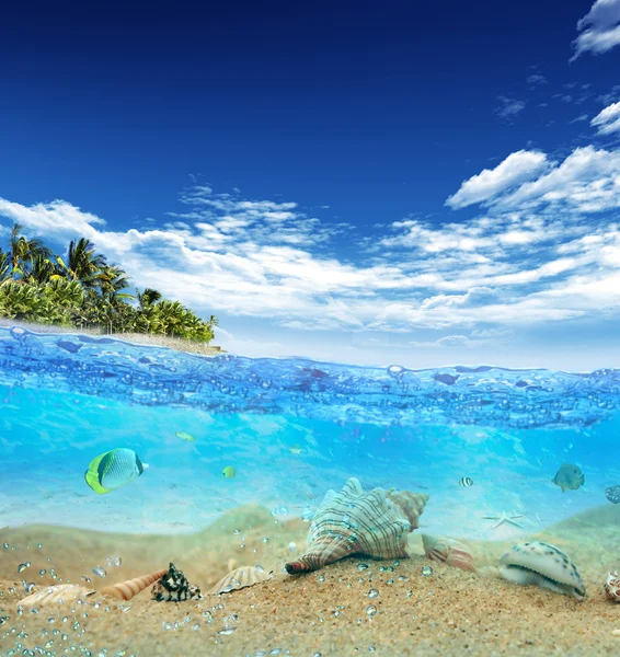 Tropický ostrov beach — Stock fotografie