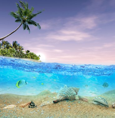 Tropical island beach clipart