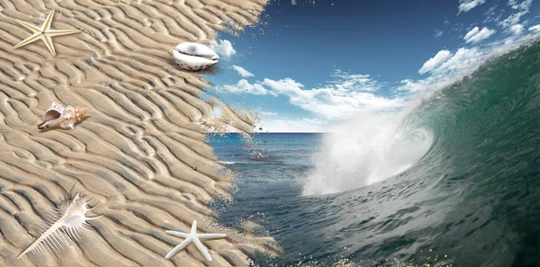 Písečná pláž a granáty oceánu vlnu v pozadí — Stock fotografie