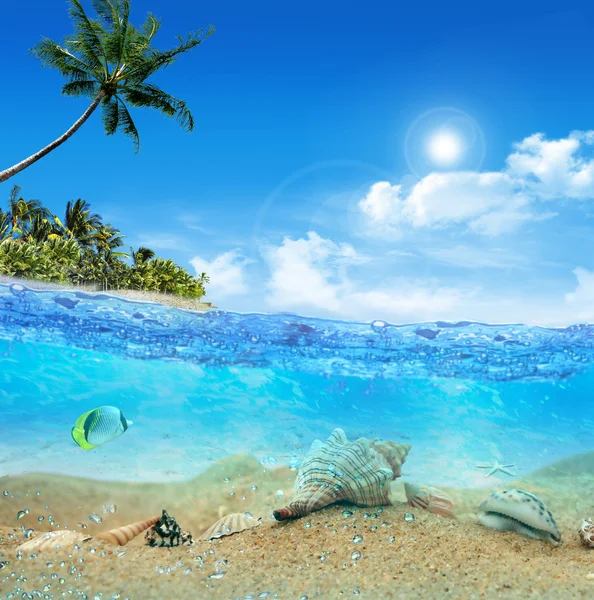 Unterwasser in der Nähe des Strandes der tropischen Insel — Stockfoto