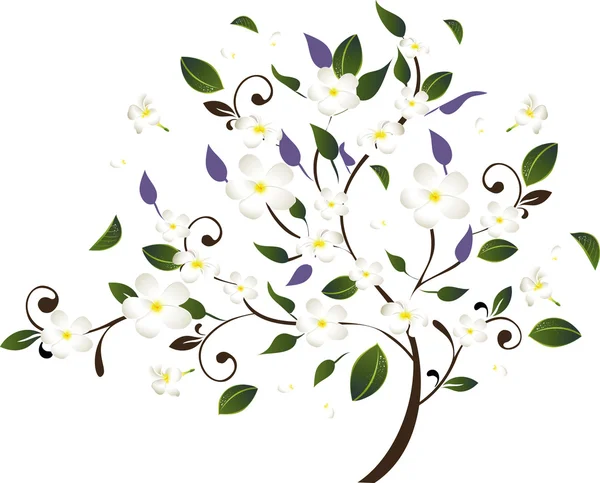 Tree and white flowers — Stock Vector