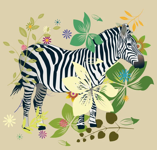 Zebra und Natur — Stockvektor