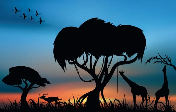 Afrikanische Tierwelt — Stockvektor