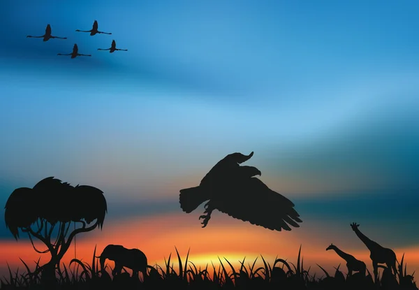 アフリカの野生動物 — ストックベクタ