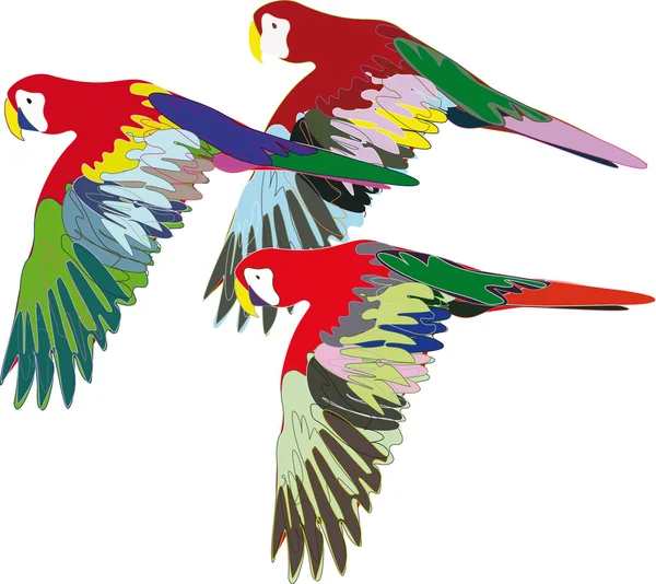 Papoušci jsou létání — Stockový vektor