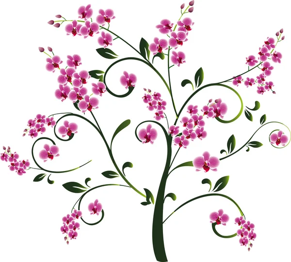 Albero con fiori — Vettoriale Stock