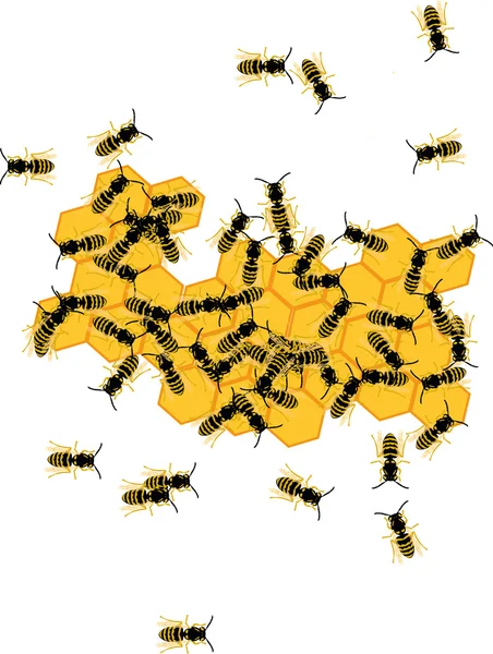 Méhek és a méz — Stock Vector