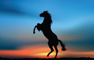 Horse at the sunset clipart