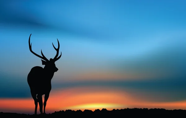 Gün batımında geyik — Stok Vektör