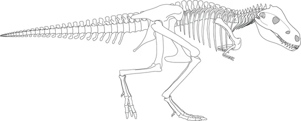 Dinosaurierskelett — Stockvektor