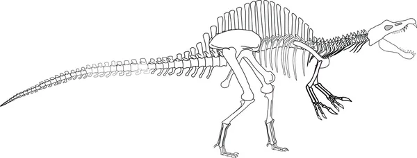 Dinosaurusluuranko — vektorikuva
