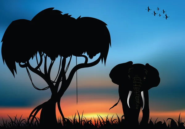 サバンナのアフリカ象 — ストックベクタ