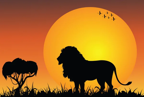 Lev v africké savany — Stockový vektor