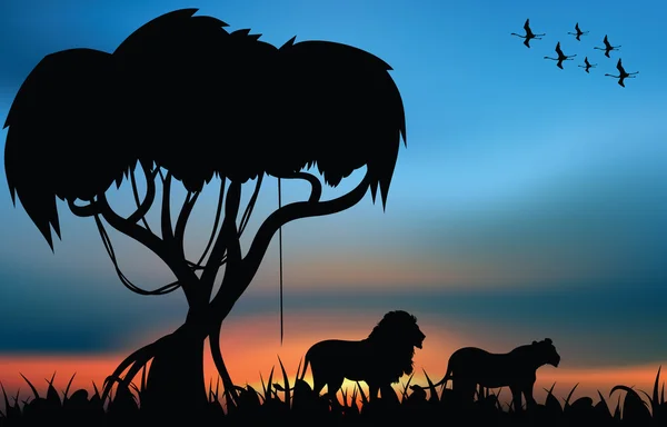 Лев и львица в африканской саванне — стоковый вектор