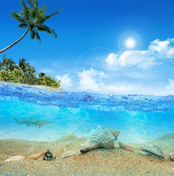 Unterwasser in der Nähe des Strandes der tropischen Insel — Stockfoto