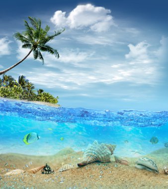 Underwater life near the beach of the tropical island clipart