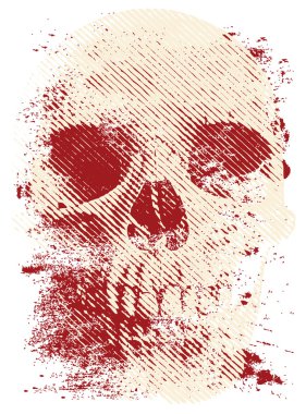 Artistic skull clipart