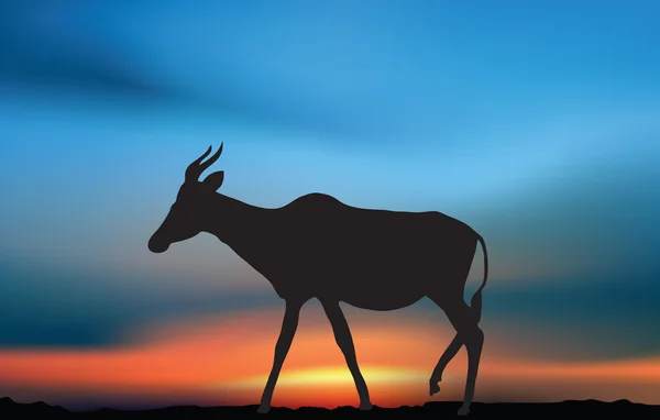 Antelope at dawn — Stock Vector