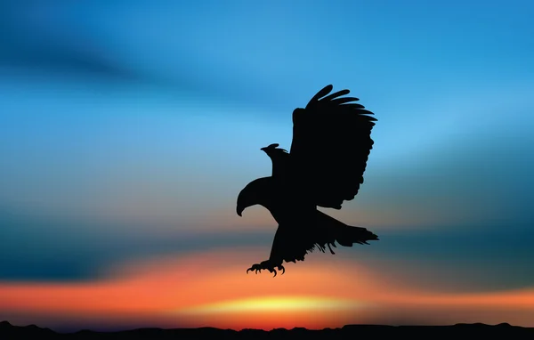 Hawk at the sunrise — Stock Vector