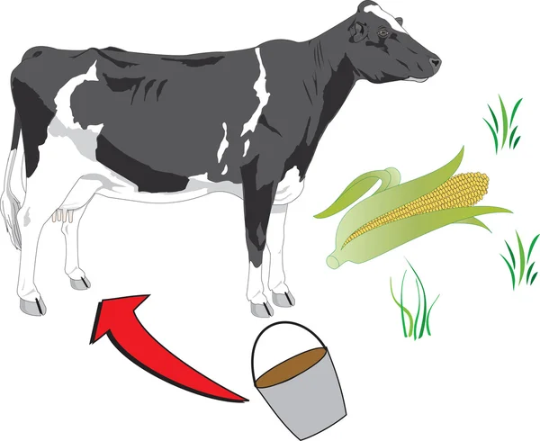 Bydła i żywności — Wektor stockowy