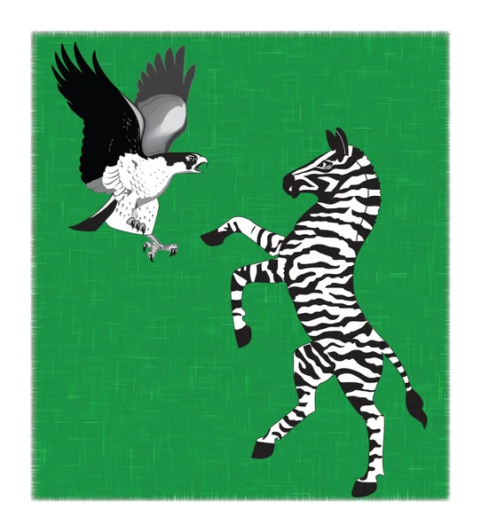 Hawk and zebra — Stock Vector