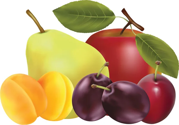 Сезонные фрукты — стоковый вектор