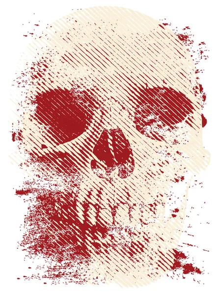 Crâne artistique — Image vectorielle