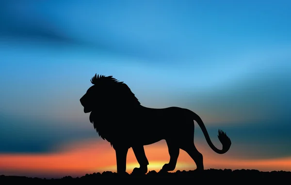 Leão africano ao pôr-do-sol — Vetor de Stock